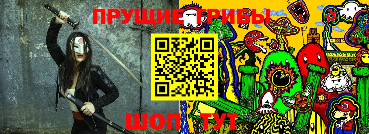 Псилоцибиновые грибы Psilocybine cubensis  Вход с VPN  Гатчина 